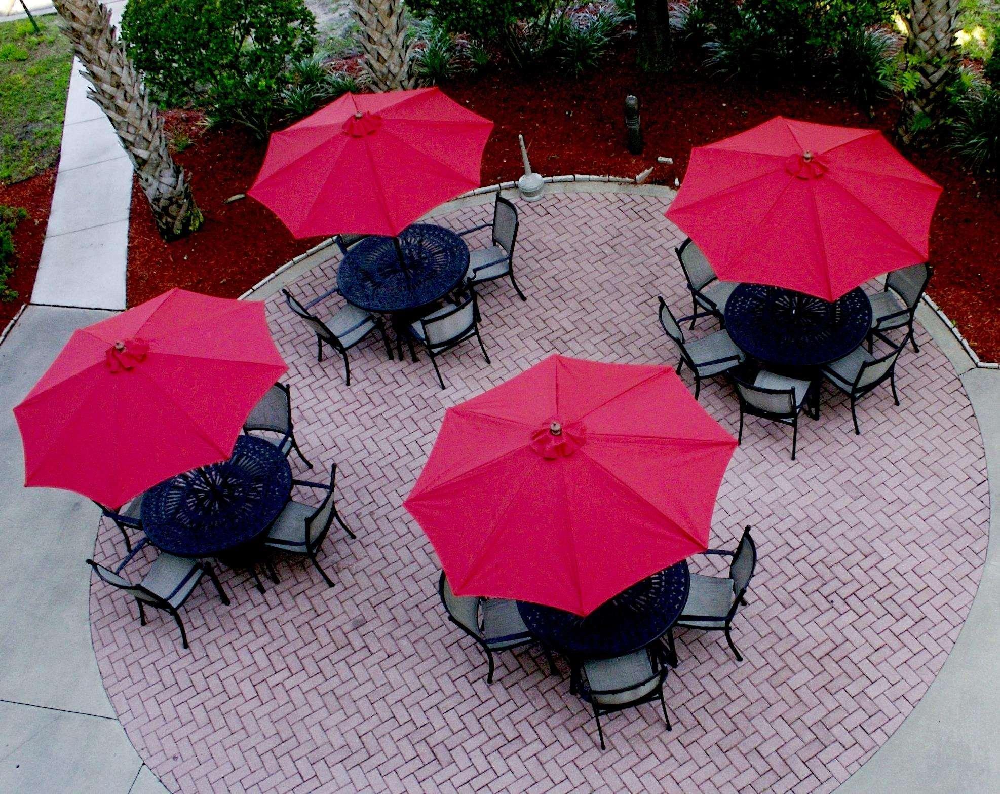 Hilton Garden Inn Tampa North Temple Terrace Restaurante foto